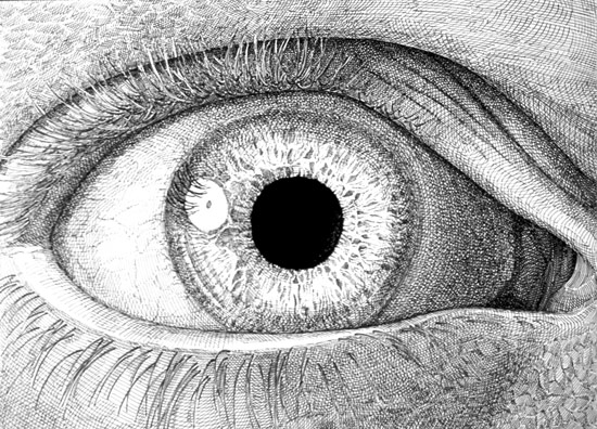 female eyes drawing. Human+eyes+drawing